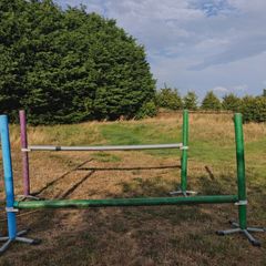 Horse PVC Training set