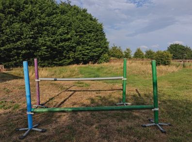 Horse PVC Training set