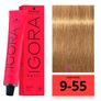 Schwarzkopf Professional - IGORA ROYAL Image 3