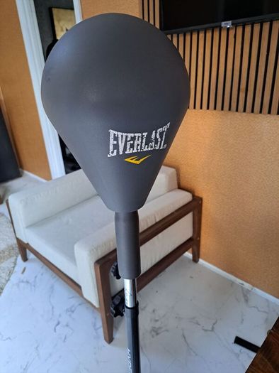 Everlast Punching bag