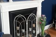 Decorative fire screen