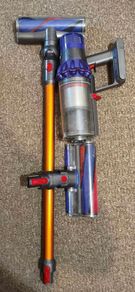 Dyson v10 animal