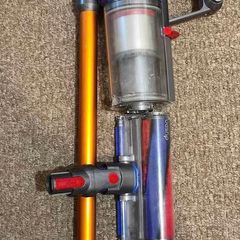 Dyson v10 animal