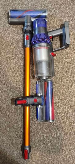 Dyson v10 animal