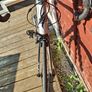 Specialized Allez E5 Image 3