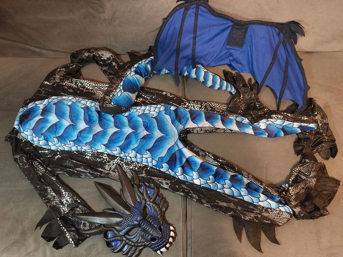 Dragon costume