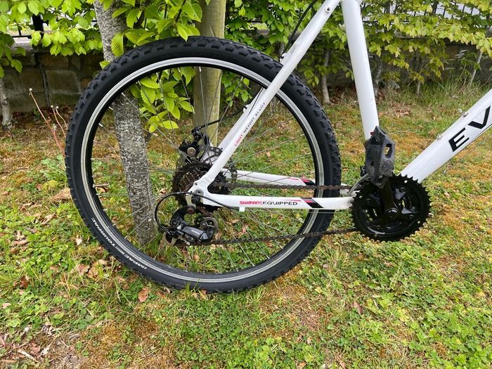 APOLLO EVADE Men's Mountain bike