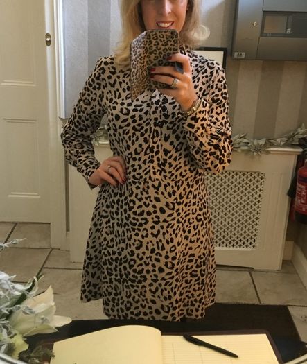 & Other Stories Leopard Mini Dress