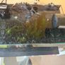 Fish Tank Complete Setup 27L Aquarel Aquarium Image 4