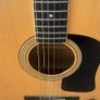 washburn guitar Image 4