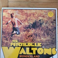The Psychedelic Waltons Wonderland 12 inch Vinyl Featuring Roisin Murphy Echo Records