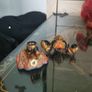 skylanders Image 9