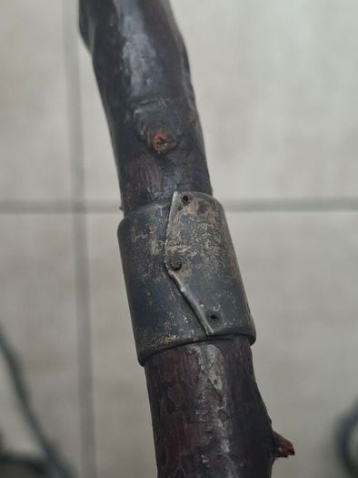 Antique Traditional Irish Blackthorn walking stick