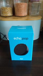 Amazon Alexa Eco Pop New