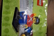 lego BR lego minifigure