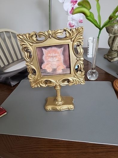 Cat picture