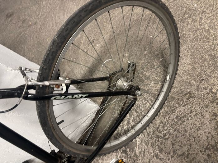 Giant bike