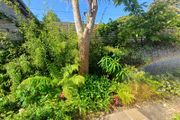 Soft landscaping services