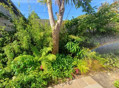Soft landscaping services