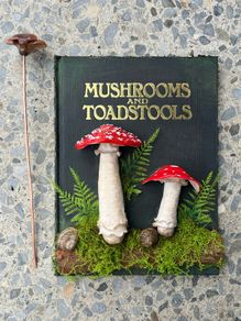 The Ultimate Mushroom and Toadstool Book and Bookmark