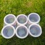 Fragile tape-Pack of 6 Image 2
