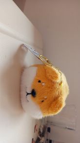 Cute dog keychain