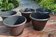 Five  Flower pots