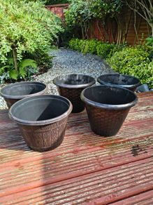 Five  Flower pots