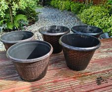 Five  Flower pots