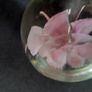 Glass paperweight with pink flower design Image 7