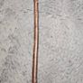 Blackthorn walking sticks Image 10