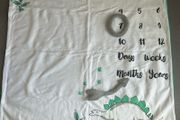 milestone baby blanket