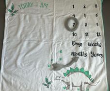 milestone baby blanket