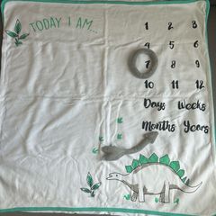 milestone baby blanket