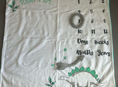 milestone baby blanket