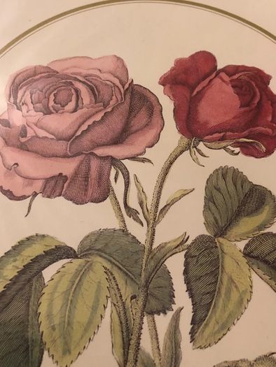 Vintage Rose Botanical Print Framed - Nederlandsch Bloemwerk Cottagecore Wall Art  11.6 inches x 14.8 inches