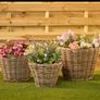 Indoor/outdoor New Medium Basket Pot Image 2