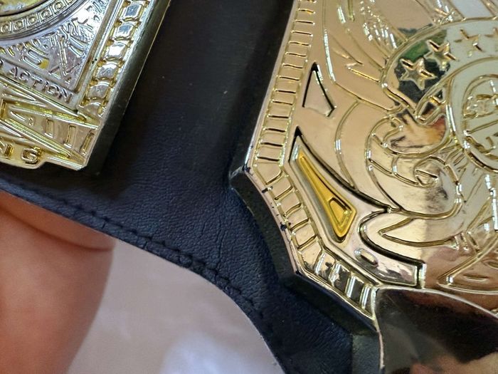wwe Jakks specific TNA World heavyweight championship kids belt