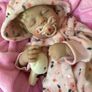 Reborns By Laura.  Shhh Baby Ashley Is Sleeping.  Stunning 5lb Reborn Doll.  Welcome To View Image 4