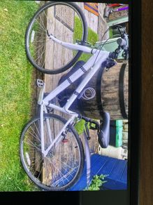 ladies bike