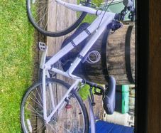 ladies bike