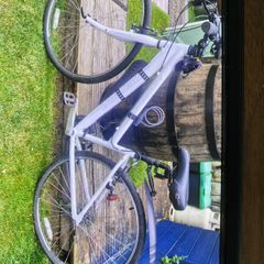 ladies bike