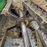 Keenan 340 Diet Feeder Image 8