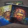 Shpongle 2xLP Nothing Lasts... But Nothing Is Lost Image 3