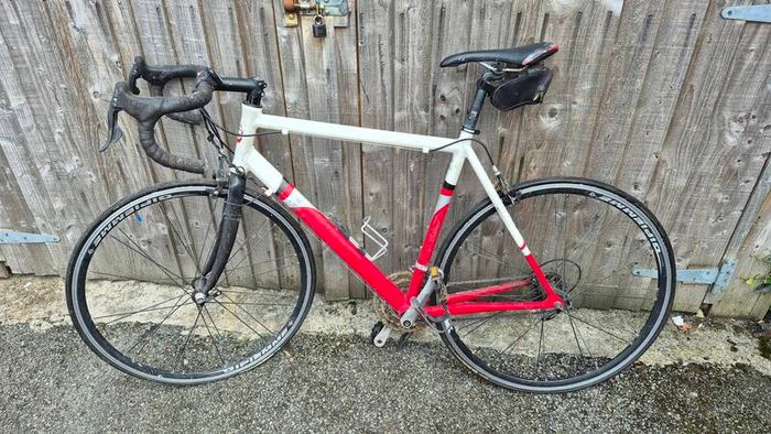 Giotto road bike