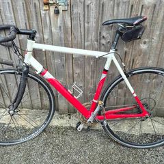 Giotto road bike
