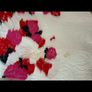 Louise Kennedy Dress Coat Image 6