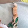 Meerkat  Figurine. Image 7