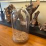 Antique Cloche Glass Dome Image 2