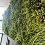 Artificial Wall Grass Image 6